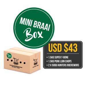 MINI BRAAI BOX