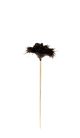 MR BRISTLE Feather Duster Short