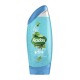 RADOX Body Wash Feel Active  250ml